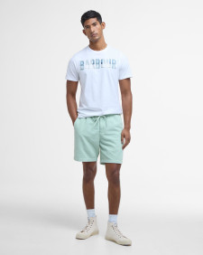 Washed Cord Relaxed Shorts Pale Apple