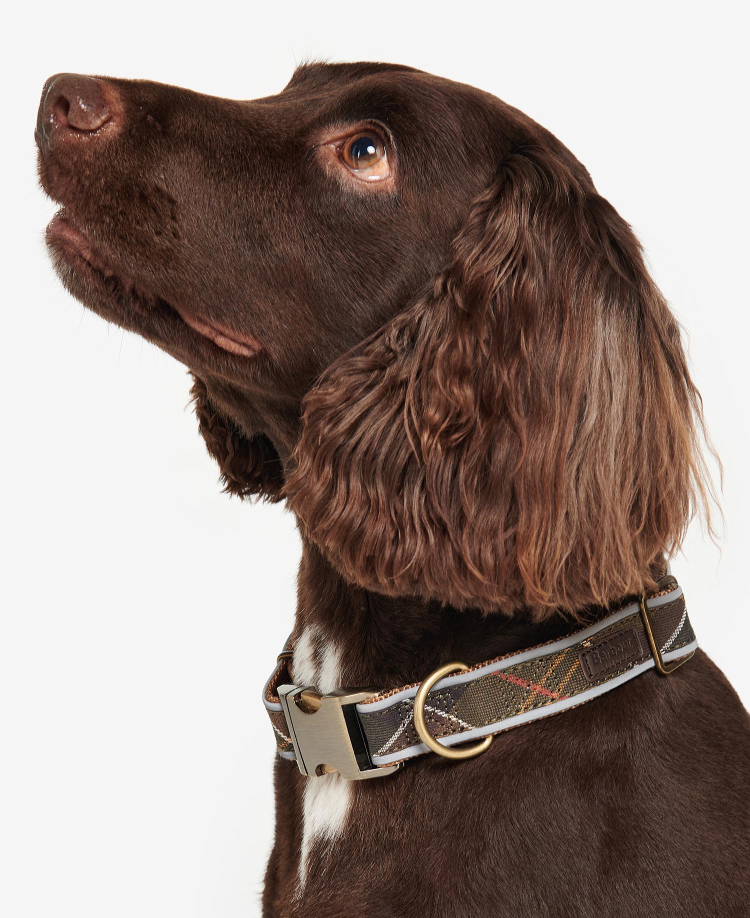 Collare per cani in tartan riflettente image number 0