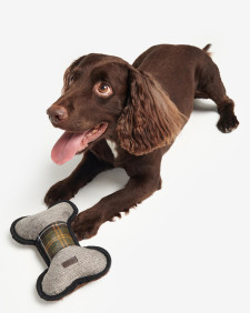Dog Toy Bone