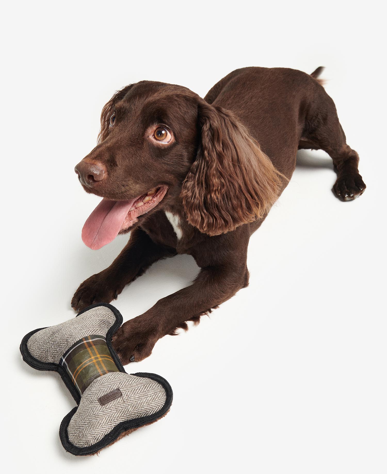 Dog Toy image number 1