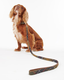 Tartan Webbing Dog Lead Classic Tartan