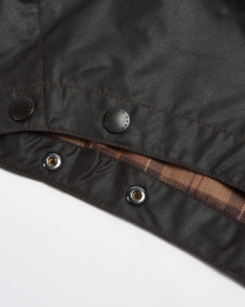 Kapuze Wax Cotton 