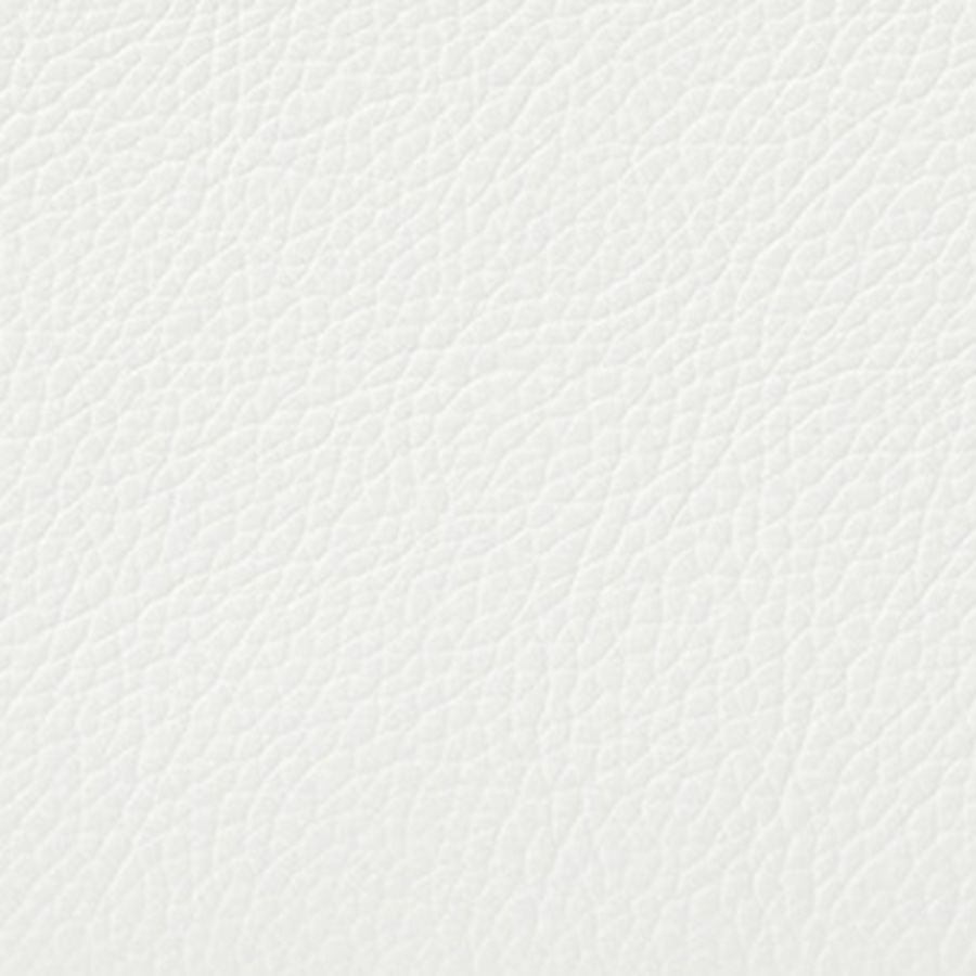 Shoe White